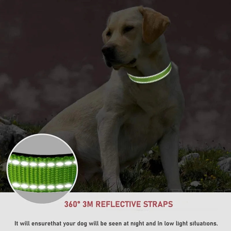 Stylish and Durable Choker Collar for Small Dogs - Perfect for Puppies and Decorative Use