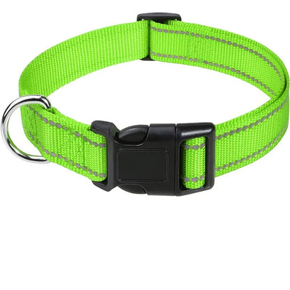 Stylish and Durable Choker Collar for Small Dogs - Perfect for Puppies and Decorative Use